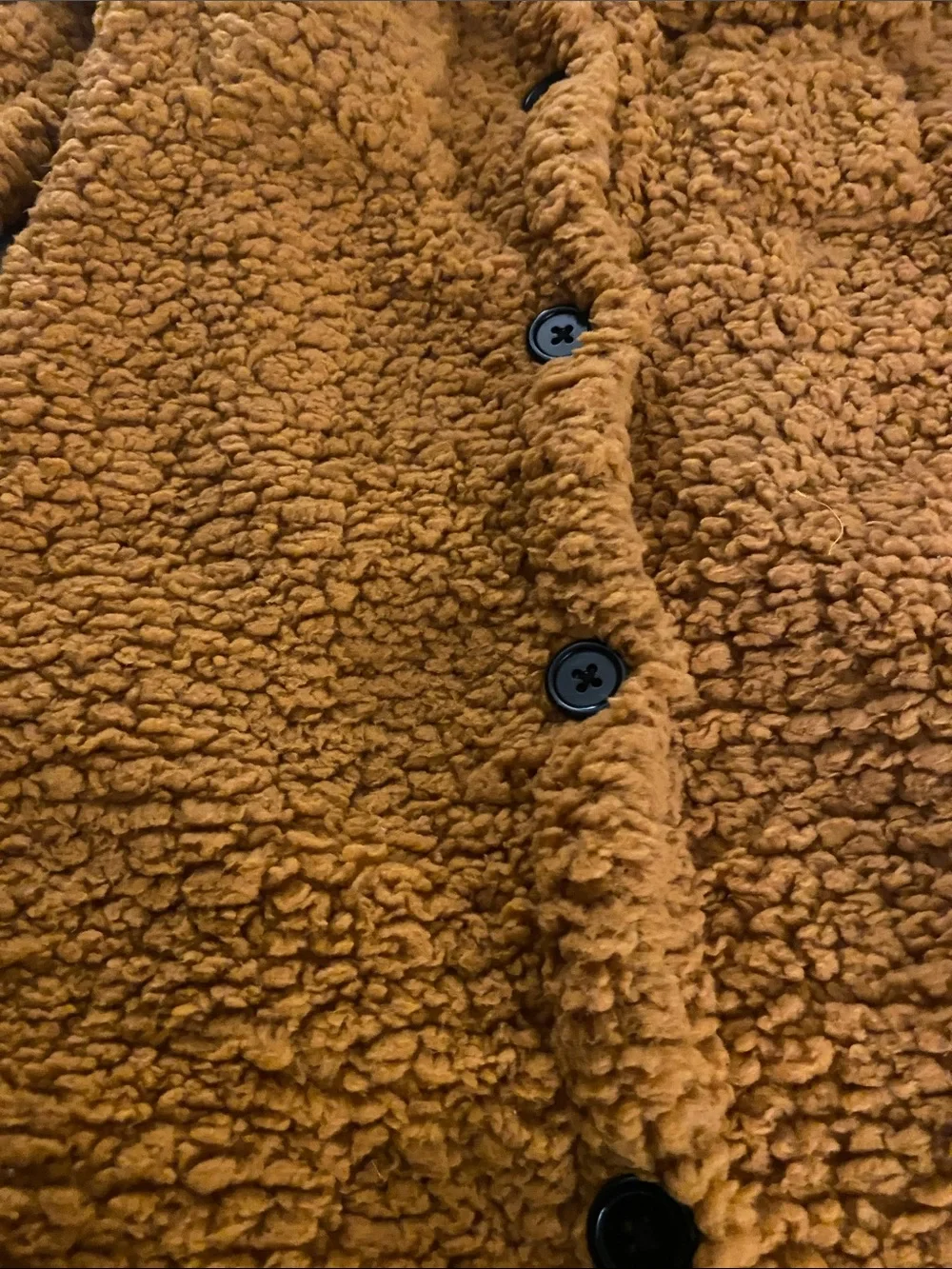 NWOT, Kids Cozy Hooded Teddy Coat - Burnt Orange